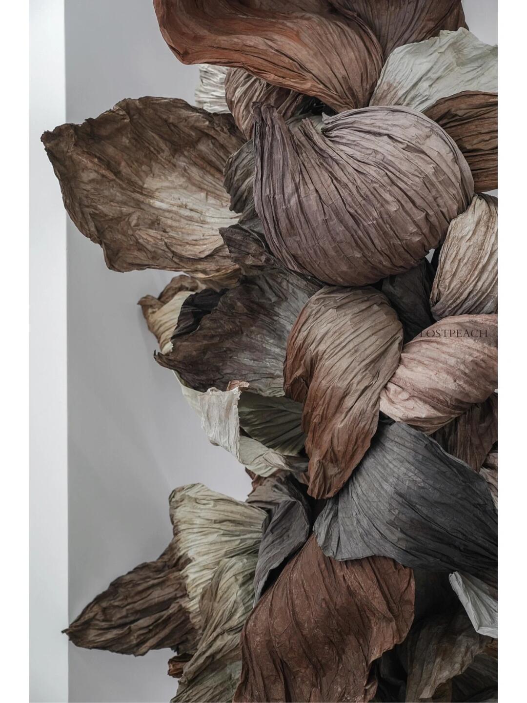 Cycle of Decay and Rebirth | Spatial Photo-Spot Art Installation| Installation art lostpeach