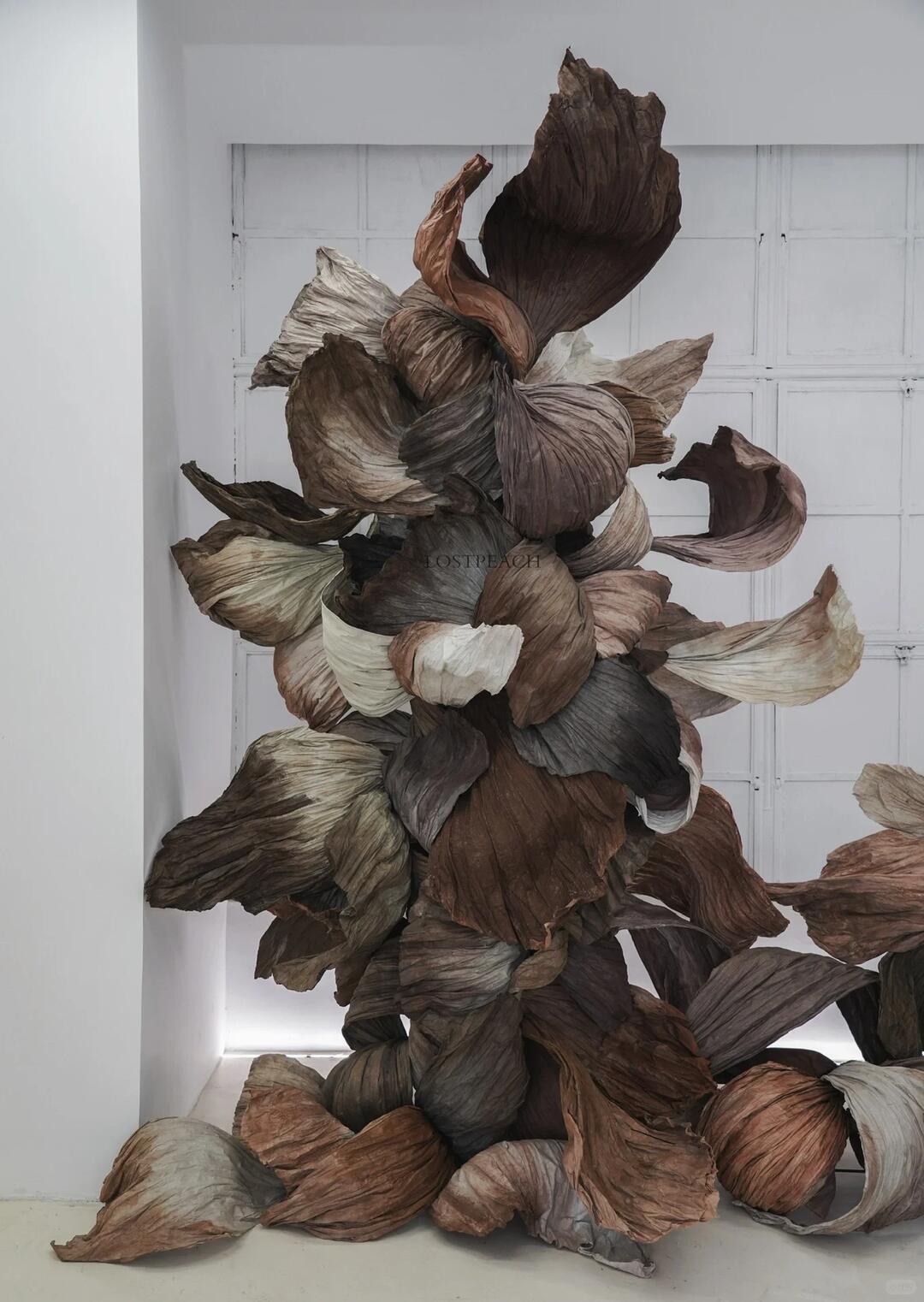 Cycle of Decay and Rebirth | Spatial Photo-Spot Art Installation| Installation art lostpeach