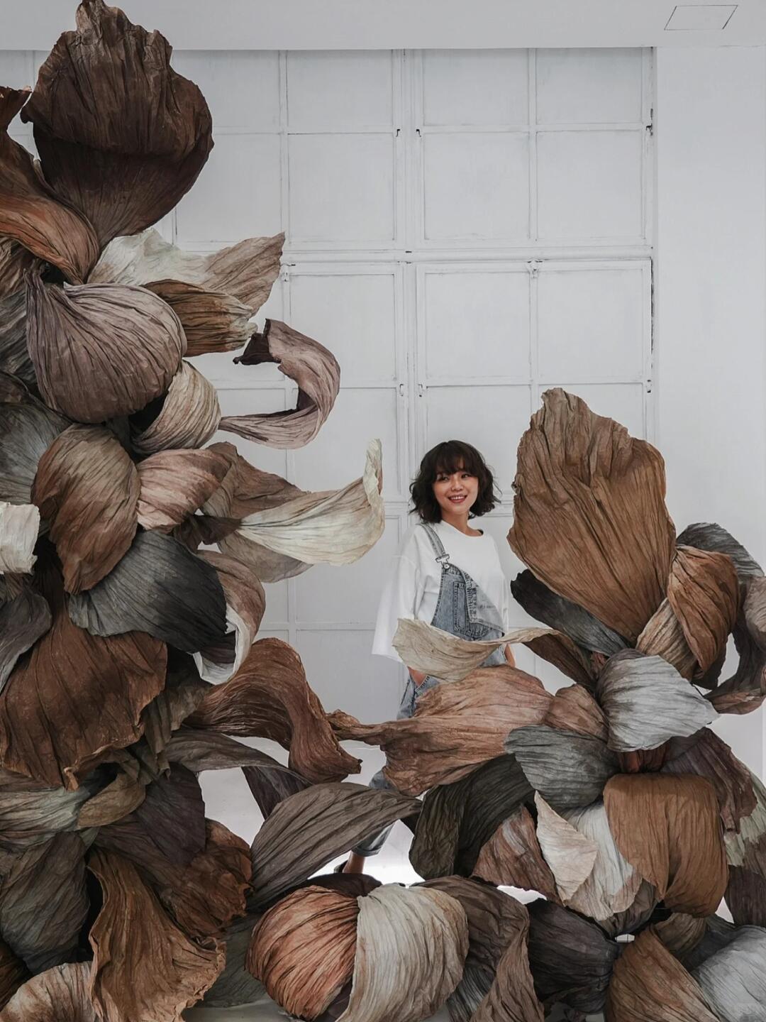 Cycle of Decay and Rebirth | Spatial Photo-Spot Art Installation| Installation art lostpeach