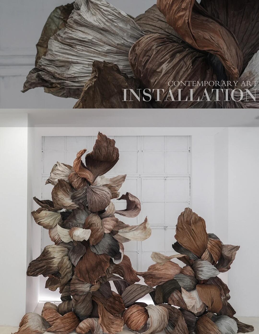 Cycle of Decay and Rebirth | Spatial Photo-Spot Art Installation| Installation art lostpeach