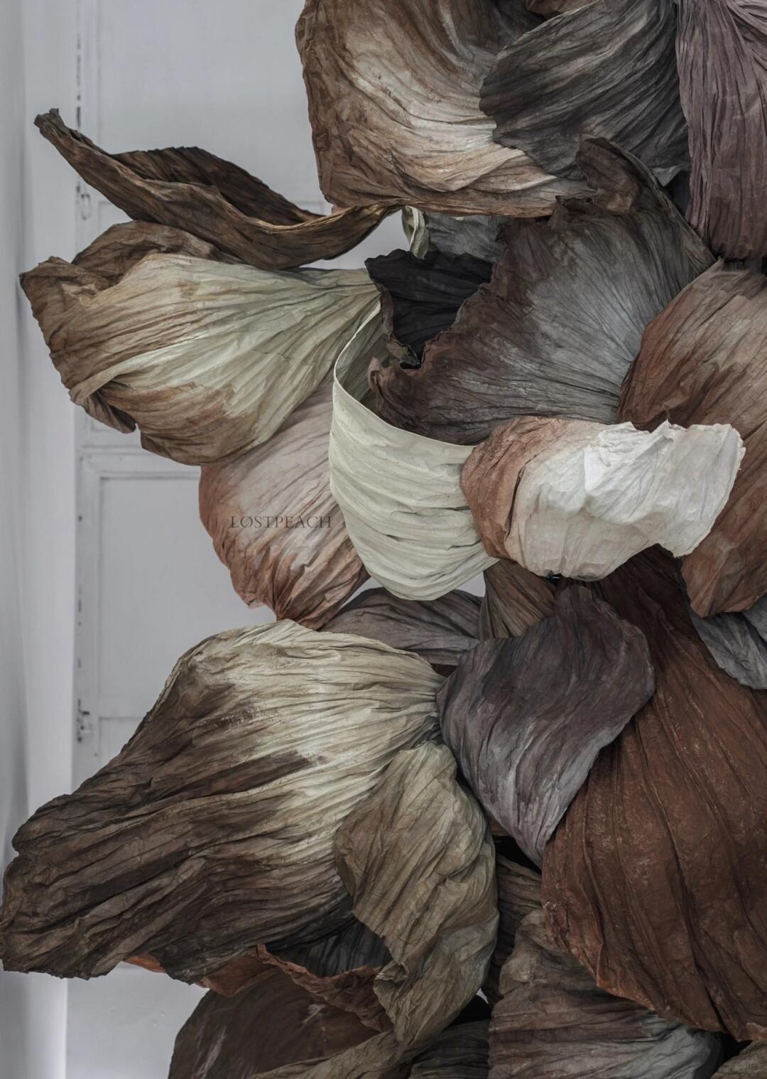 Cycle of Decay and Rebirth | Spatial Photo-Spot Art Installation| Installation art lostpeach