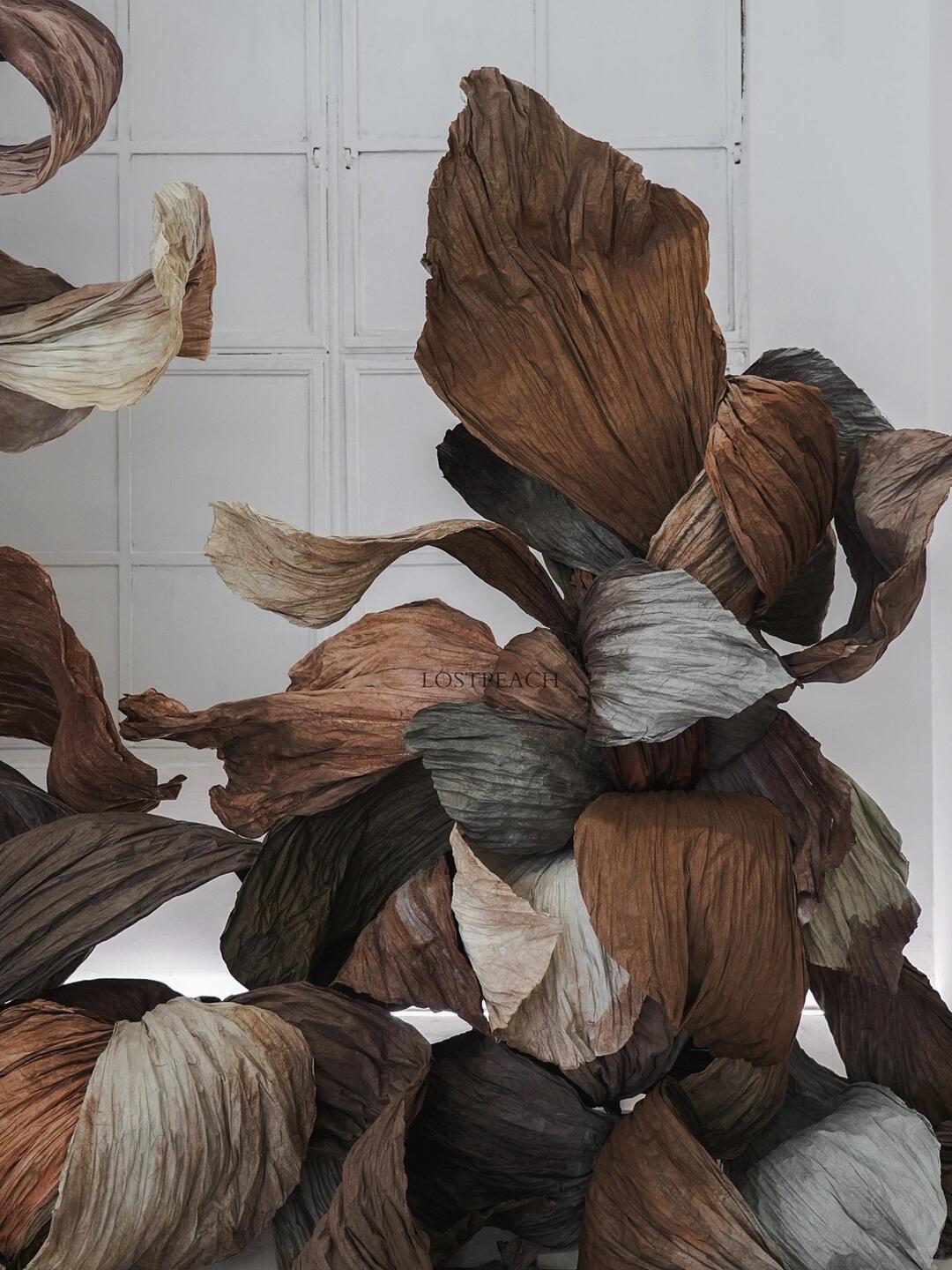 Cycle of Decay and Rebirth | Spatial Photo-Spot Art Installation| Installation art lostpeach