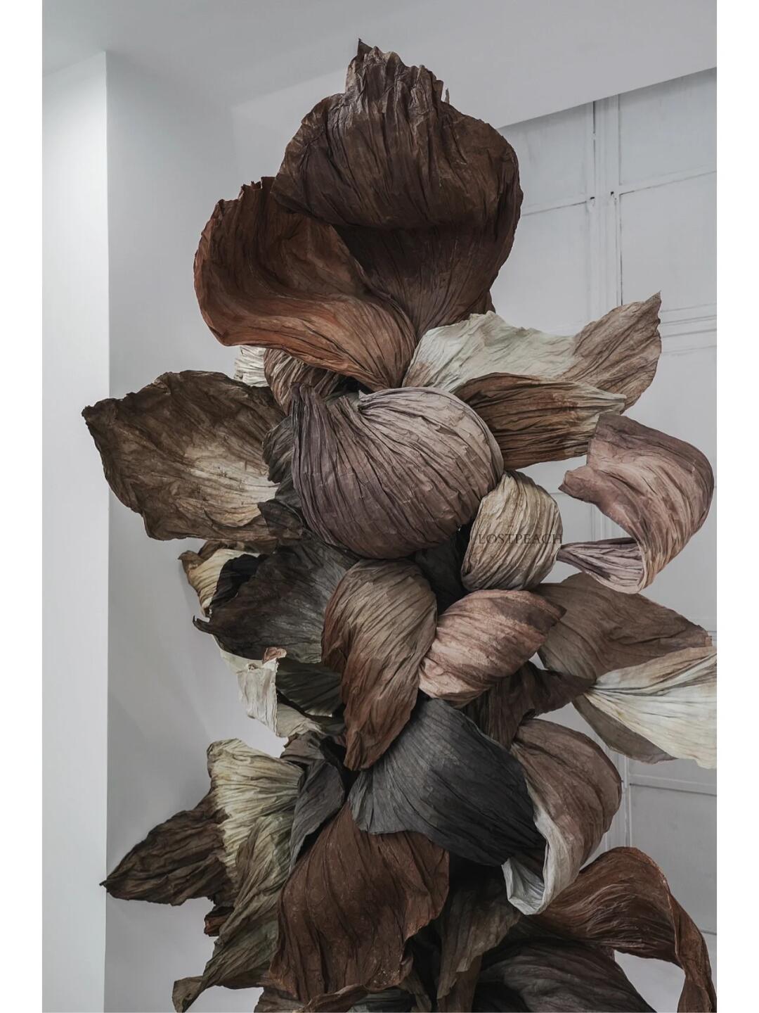 Cycle of Decay and Rebirth | Spatial Photo-Spot Art Installation| Installation art lostpeach
