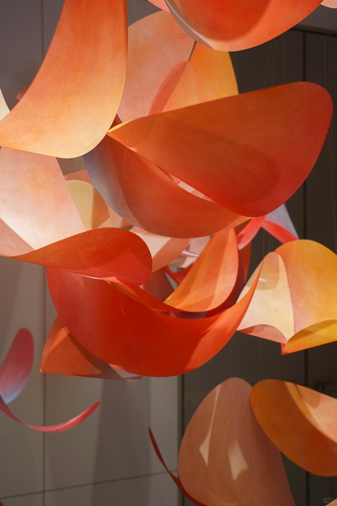 Xiaohongshu Design Open Mic | The Art of Gradient & Translucent Blending| Installation art lostpeach