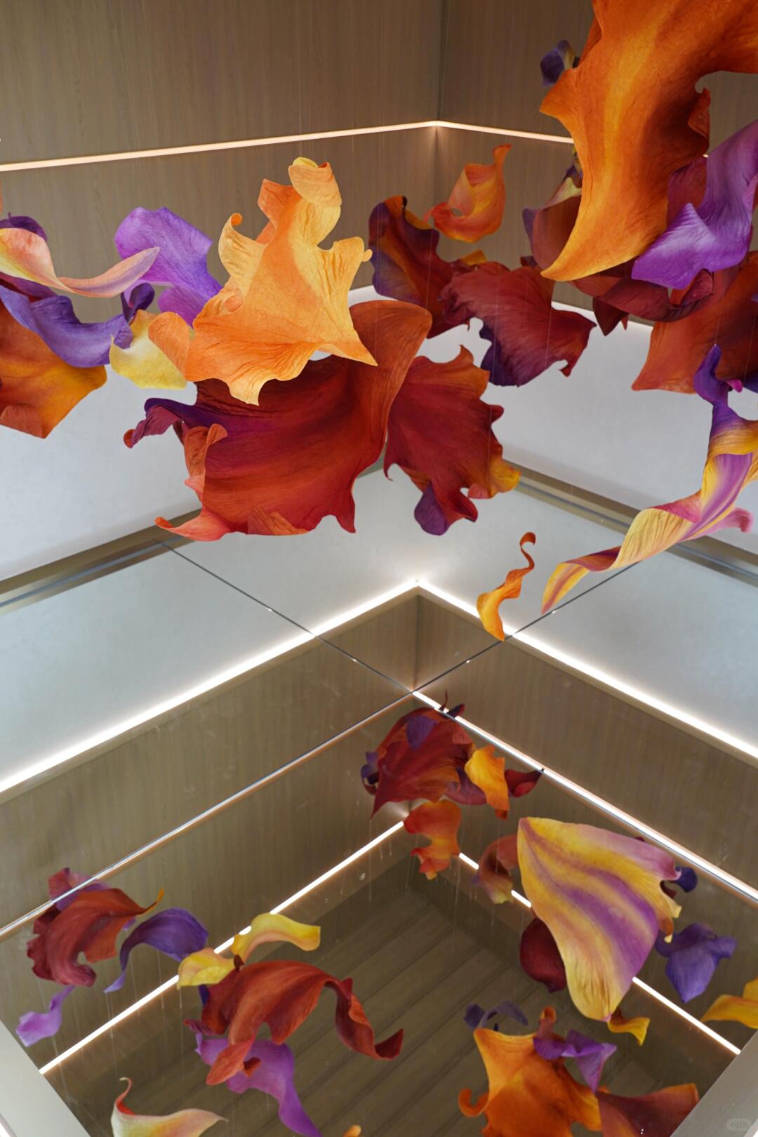 A Poem Scattered by the Wind | Installation Art in a Mirrored World| Installation art lostpeach