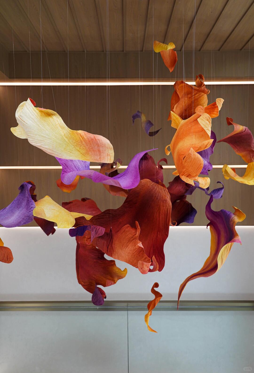 A Poem Scattered by the Wind | Installation Art in a Mirrored World| Installation art lostpeach