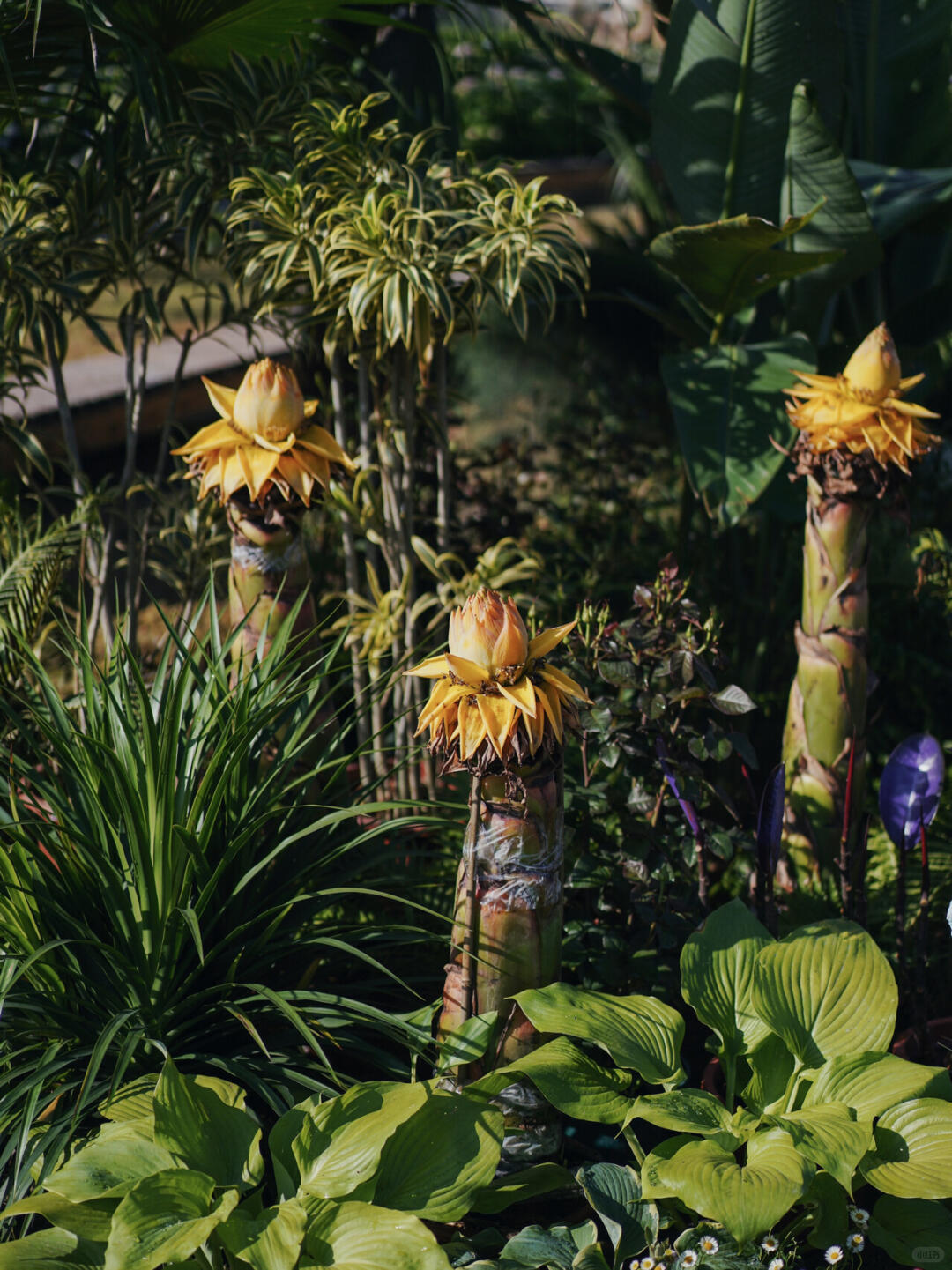 The First Chengdu Floral Installation Mega-Project | The Inner World of Children with Autism| Installation art lostpeach