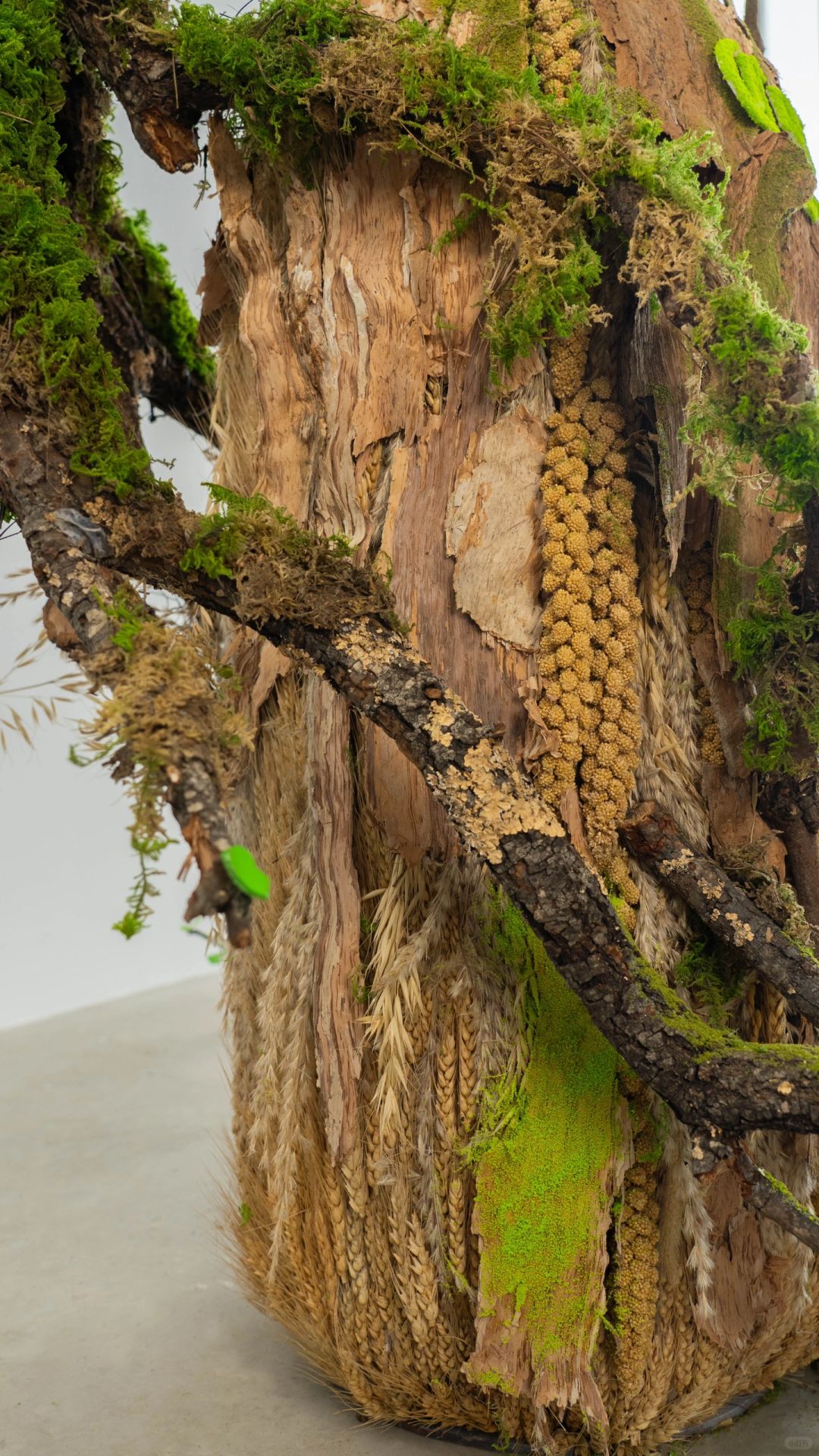 Nature Condensed: The Corona Installation| Installation art lostpeach