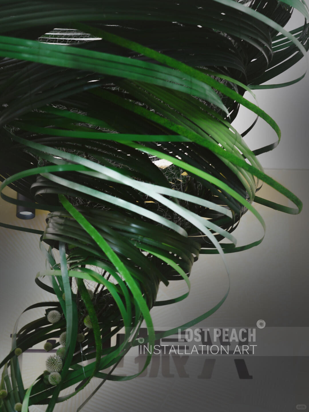 Green Wind || Bamboo Art Installation | The Art of Blending Green | Dragon Twister for the Dragon Boat Festival| Installation art lostpeach