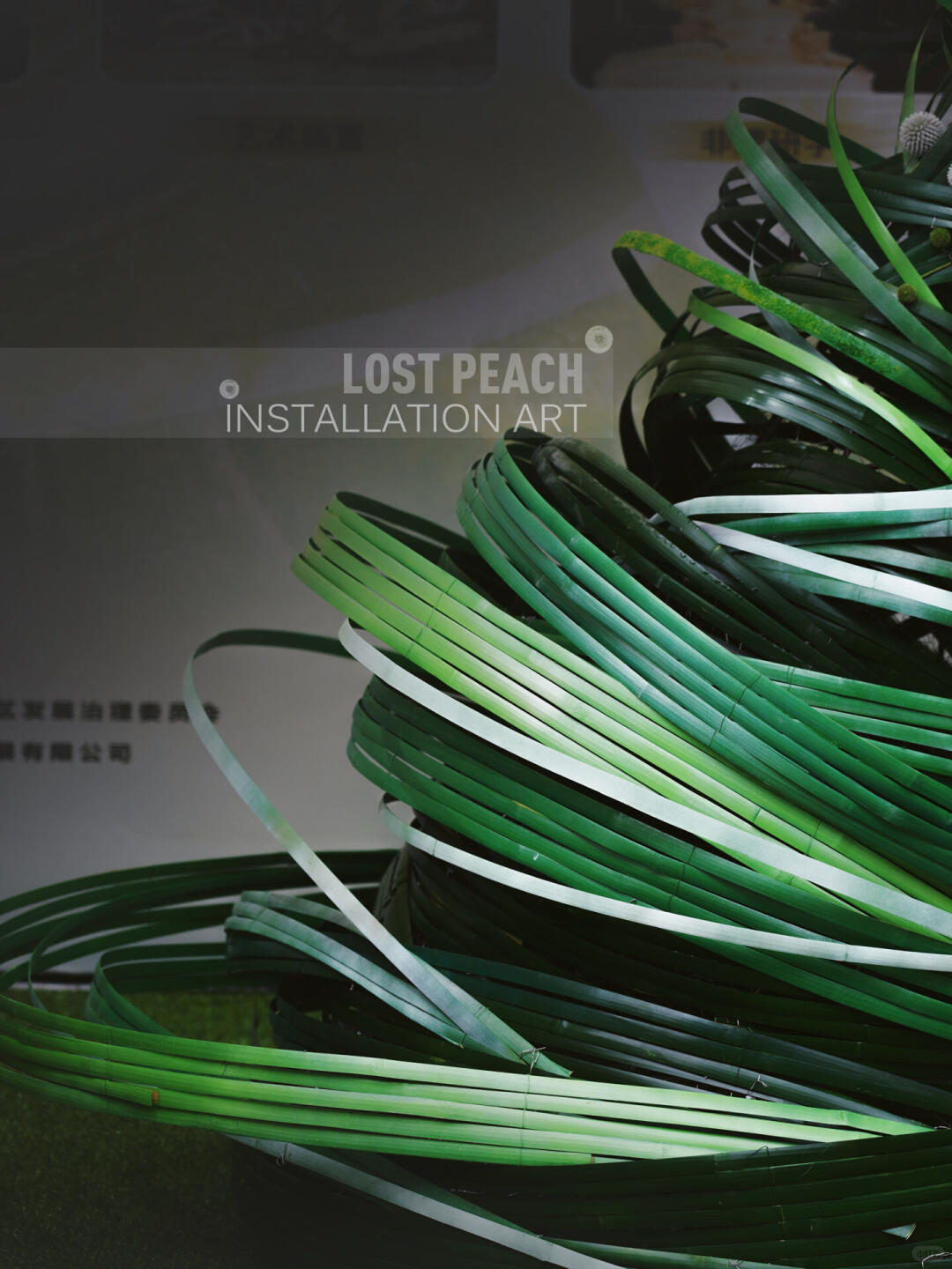 Green Wind || Bamboo Art Installation | The Art of Blending Green | Dragon Twister for the Dragon Boat Festival| Installation art lostpeach