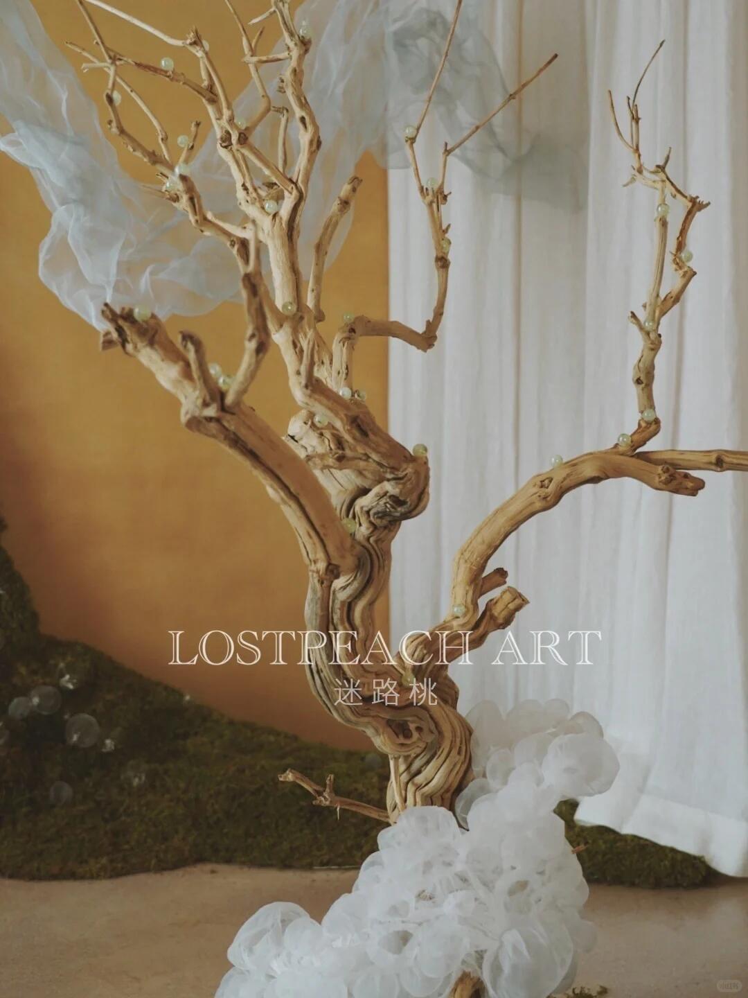 Moss Art Installation New Arrangement | Little Spore‑like Spirits| Installation art lostpeach