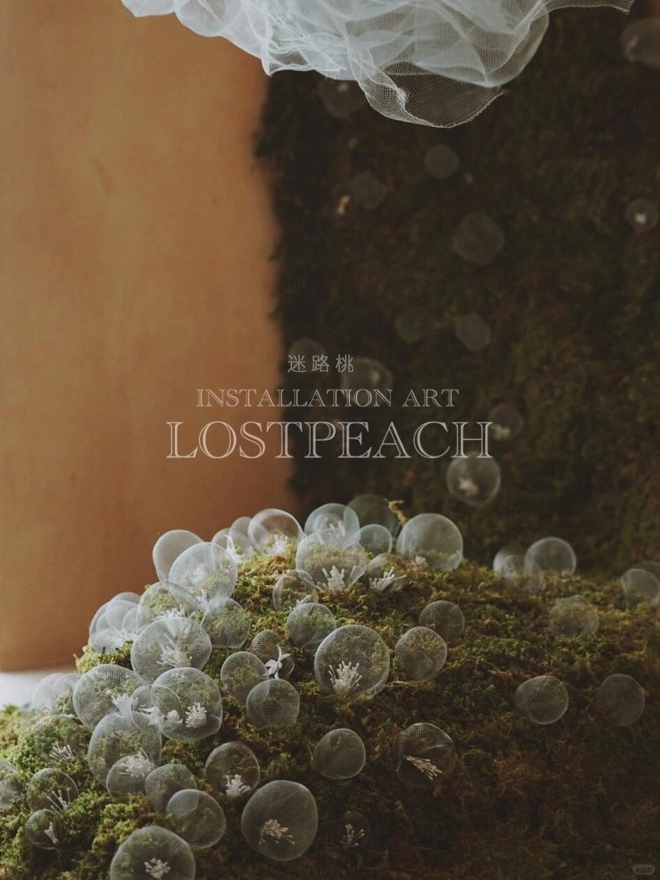 Moss Art Installation New Arrangement | Little Spore‑like Spirits| Installation art lostpeach