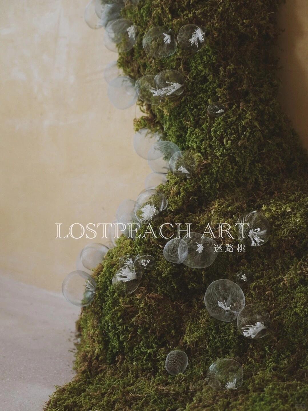 Moss Art Installation New Arrangement | Little Spore‑like Spirits| Installation art lostpeach