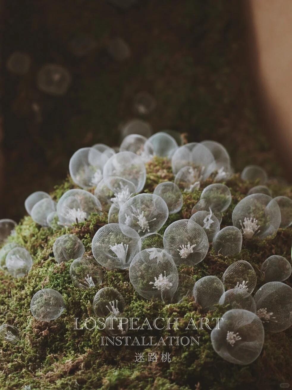 Moss Art Installation New Arrangement | Little Spore‑like Spirits| Installation art lostpeach