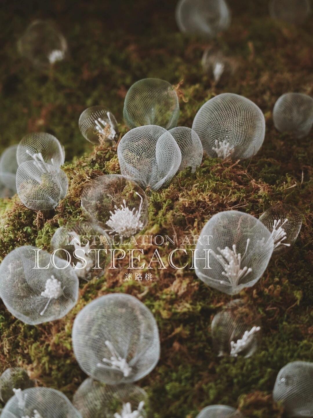Moss Art Installation New Arrangement | Little Spore‑like Spirits| Installation art lostpeach