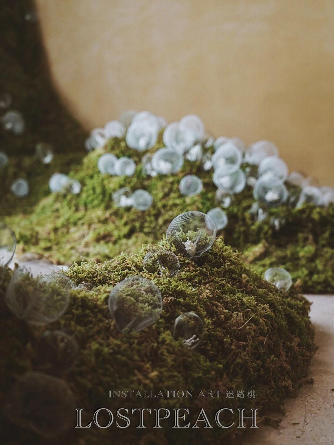 Moss Art Installation New Arrangement | Little Spore‑like Spirits| Installation art lostpeach