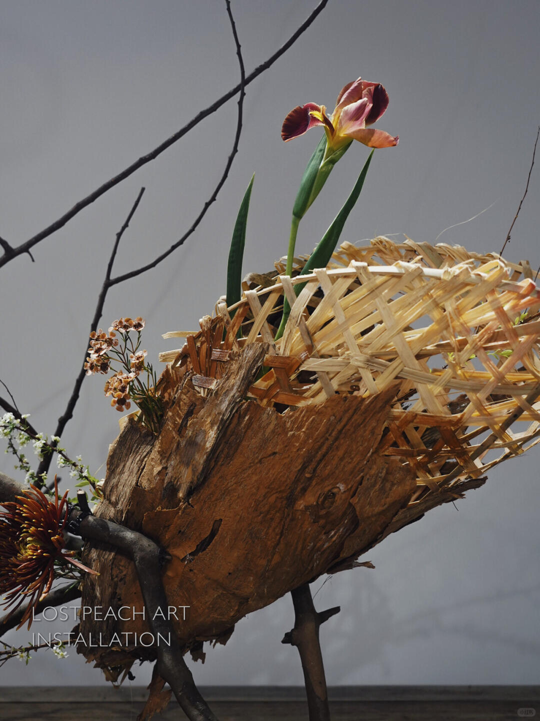 Brand Tea Room Art Installation | Structural Floristry | Falling Leaves| Installation art lostpeach