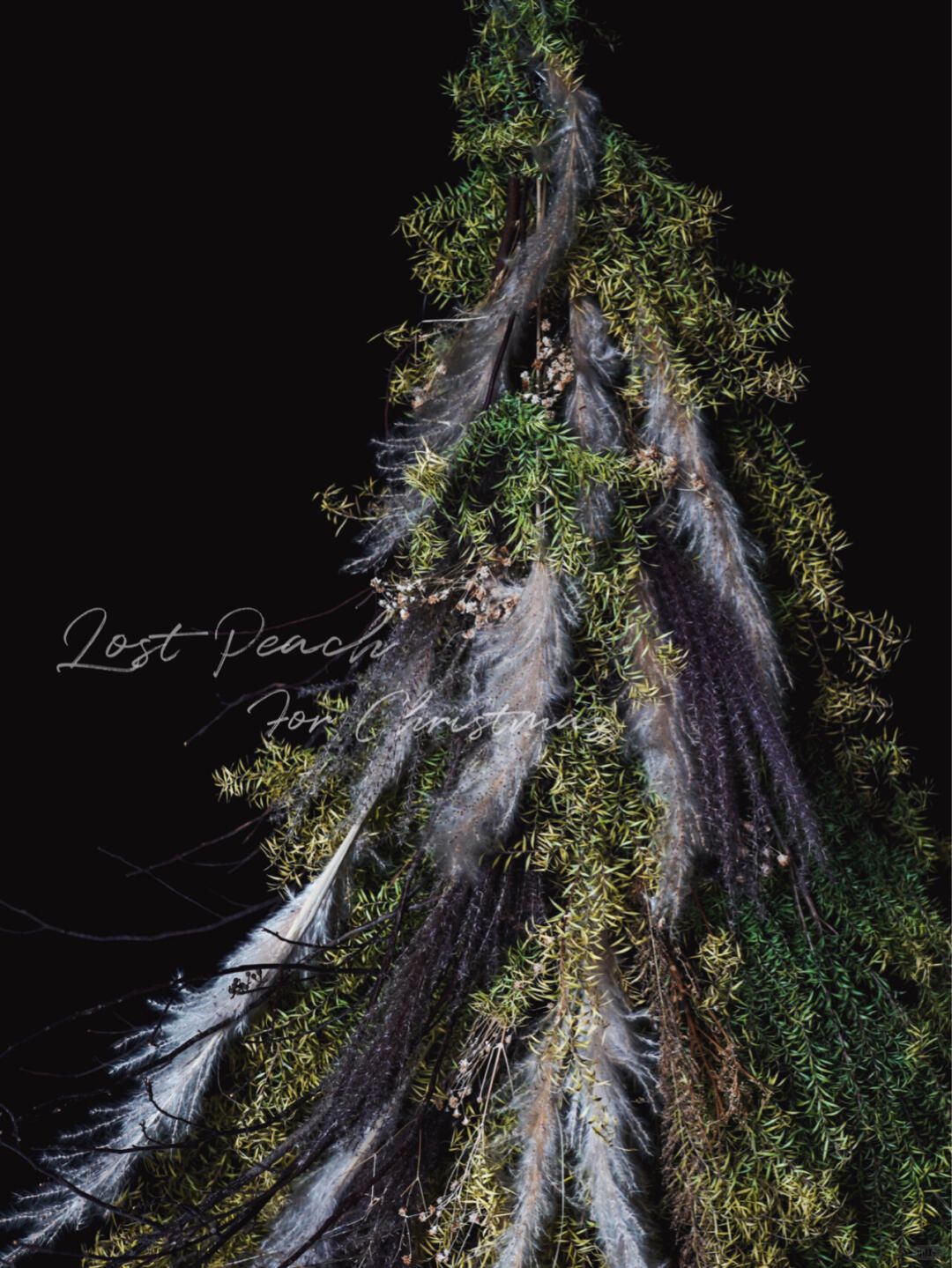 Christmas Series Installation Art | Christmas Tree| Installation art lostpeach