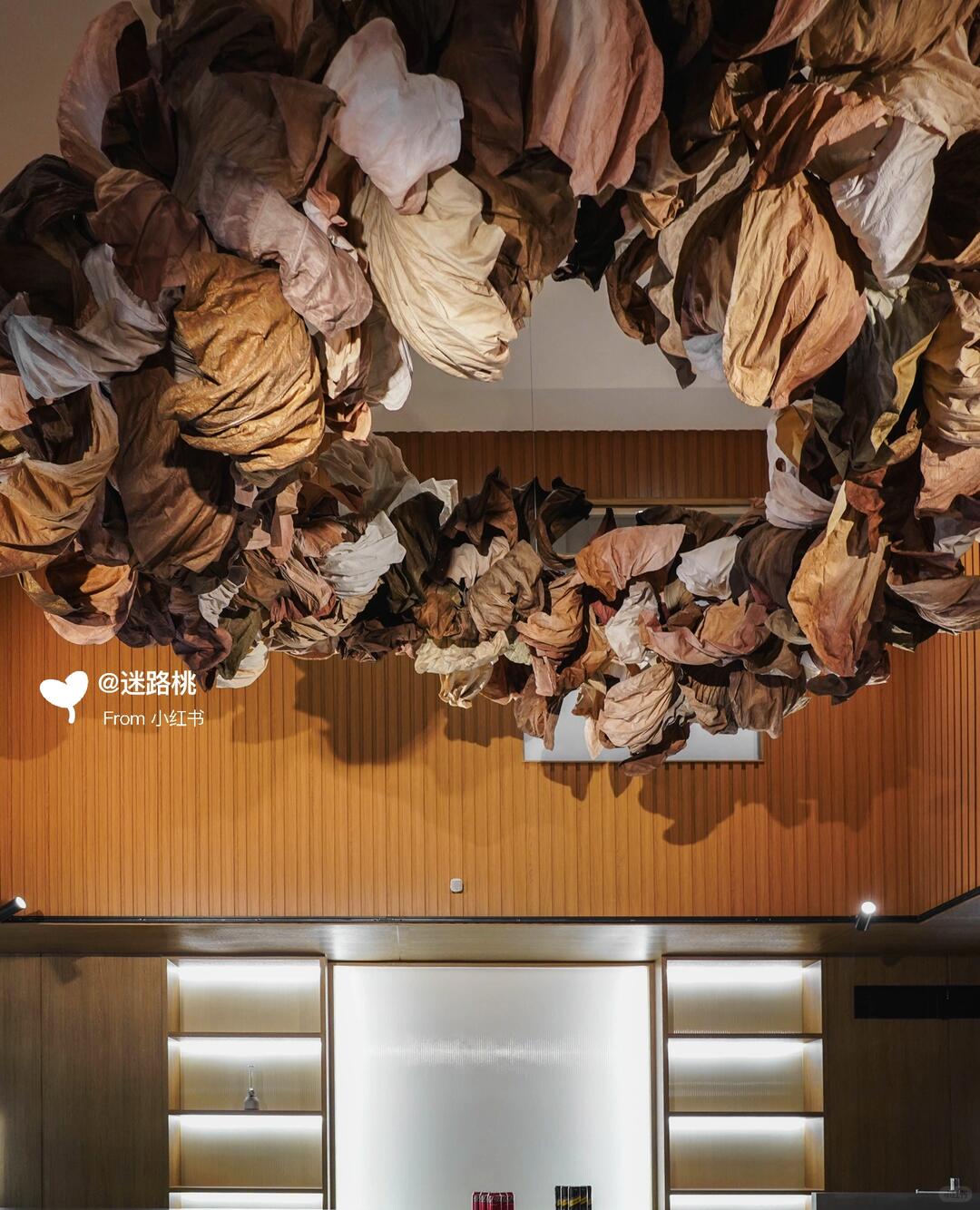 Small Stature, Immense Energy: My Journey in Large-Scale Installation Art| Installation art lostpeach