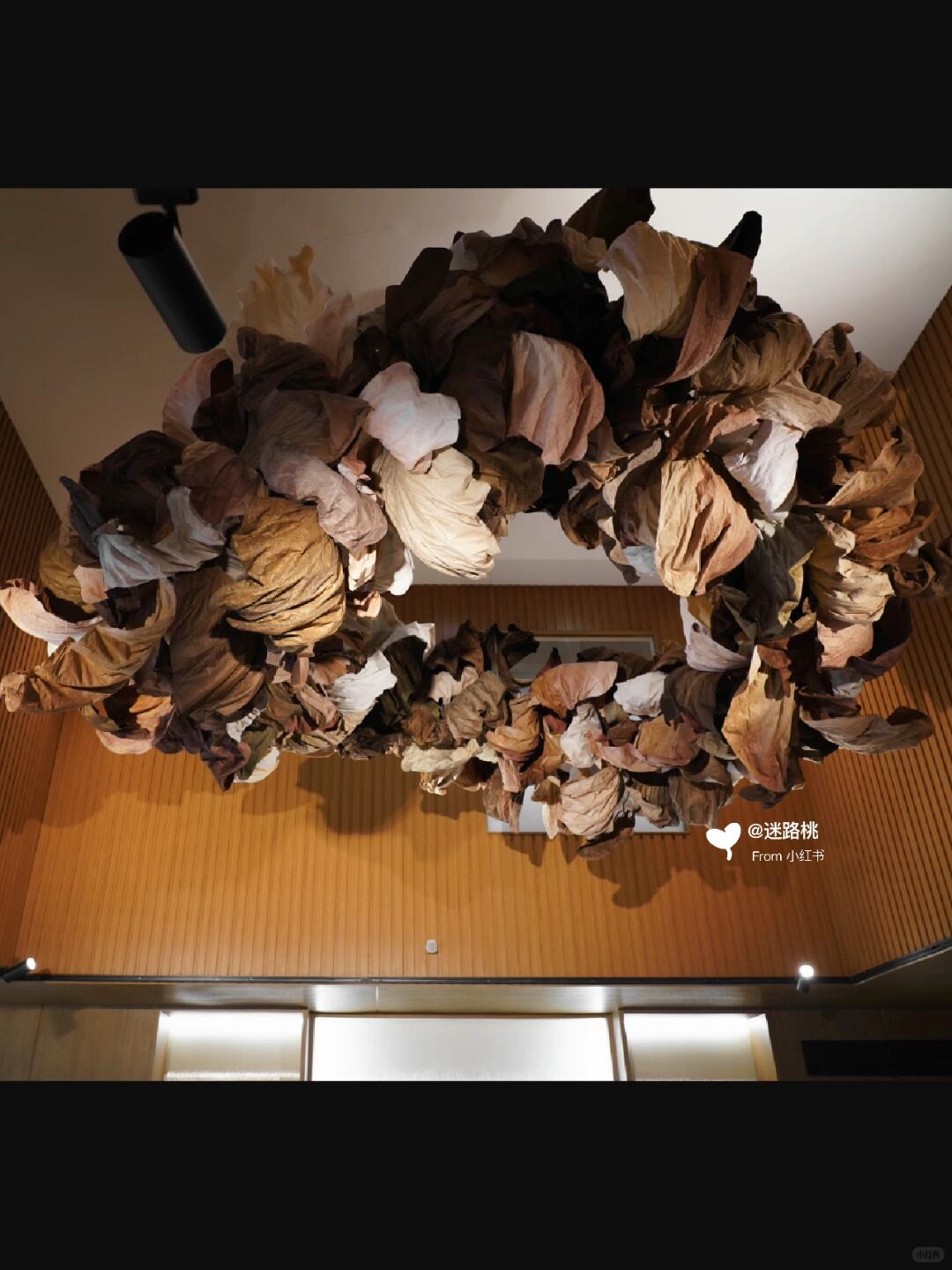 Small Stature, Immense Energy: My Journey in Large-Scale Installation Art| Installation art lostpeach