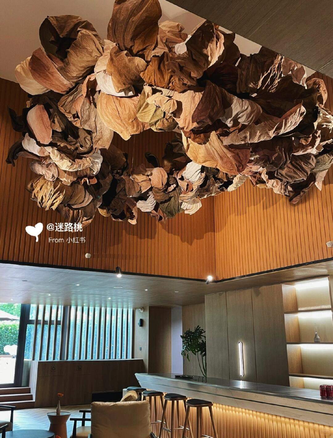 Small Stature, Immense Energy: My Journey in Large-Scale Installation Art| Installation art lostpeach