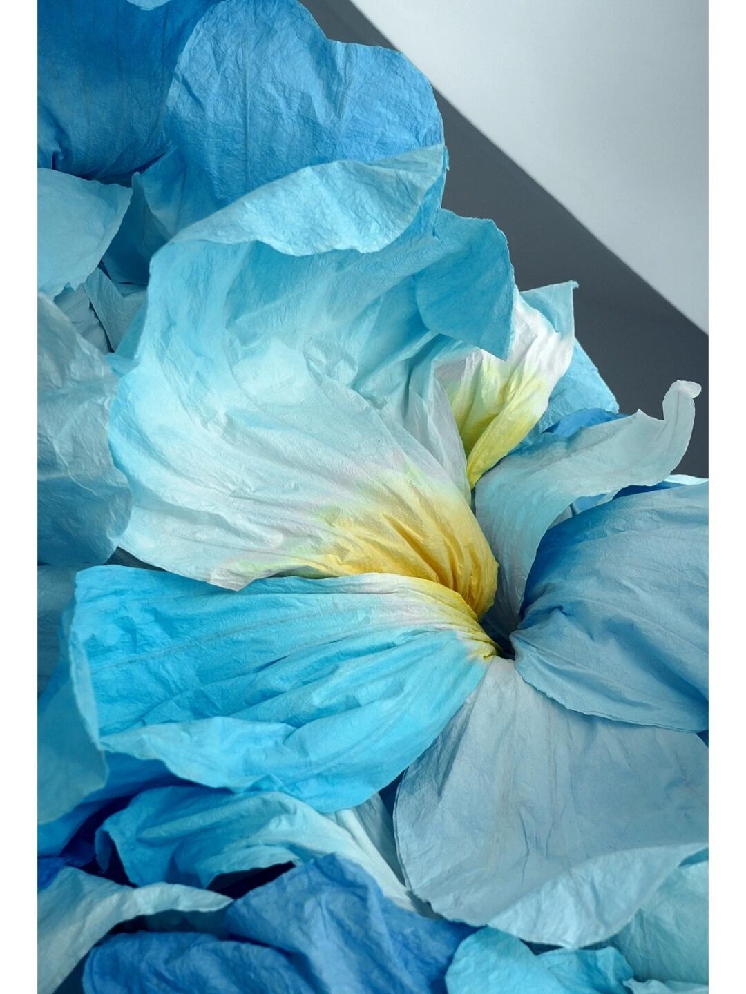Art Installation | The Dance of Irises, Crisp Summer Hues| Installation art lostpeach