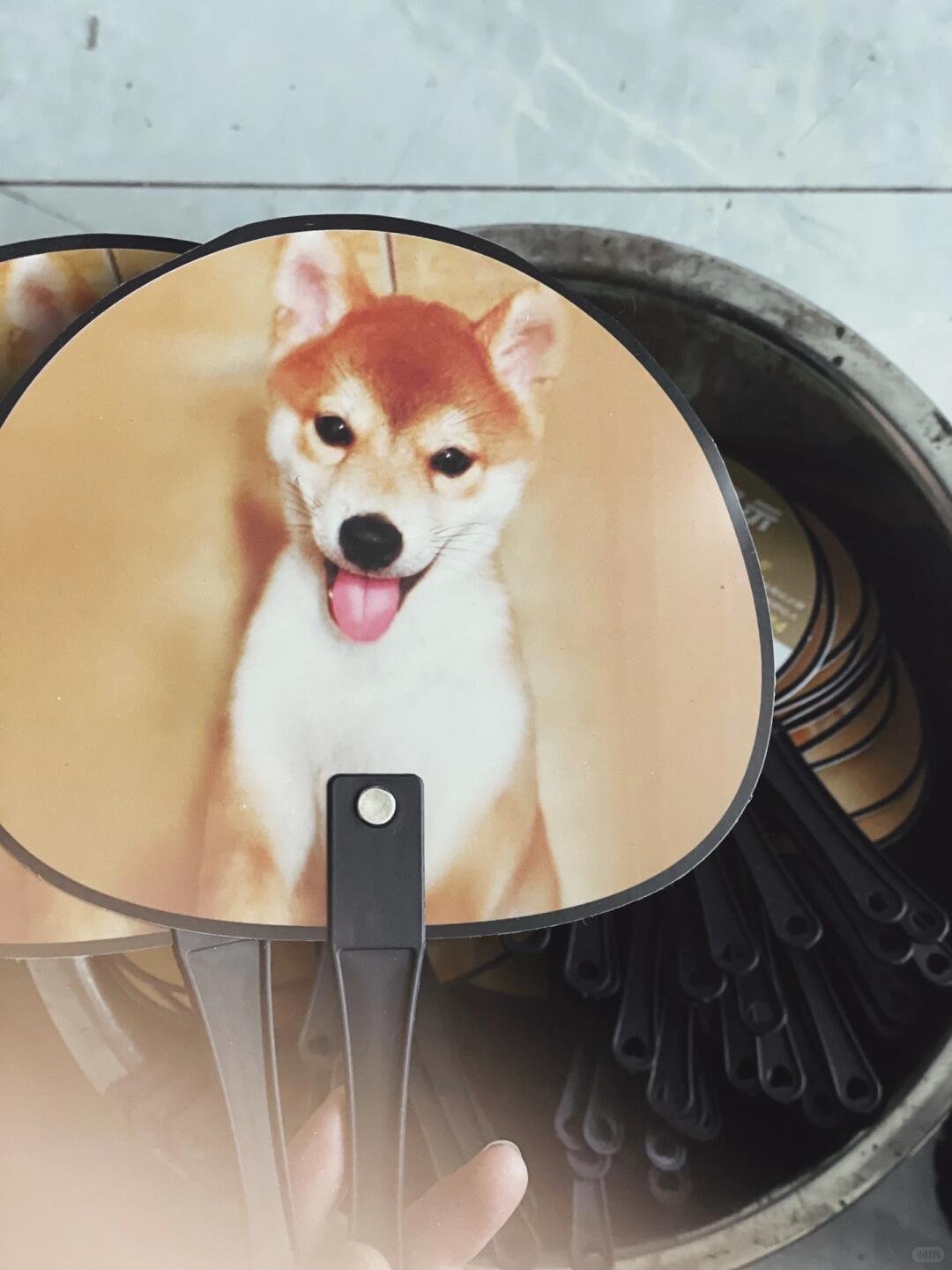 Making an Art Installation from Plastic Dog Fans | Upcycling at Its Finest| Installation art lostpeach