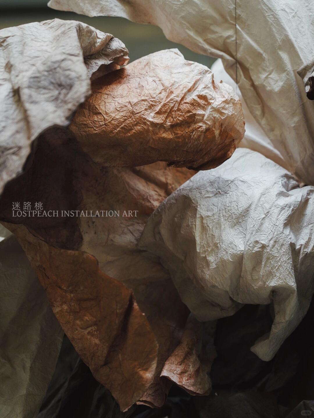 Rich Oil Painting Texture Art Installation | The Infinite Possibilities of Paper Art| Installation art lostpeach