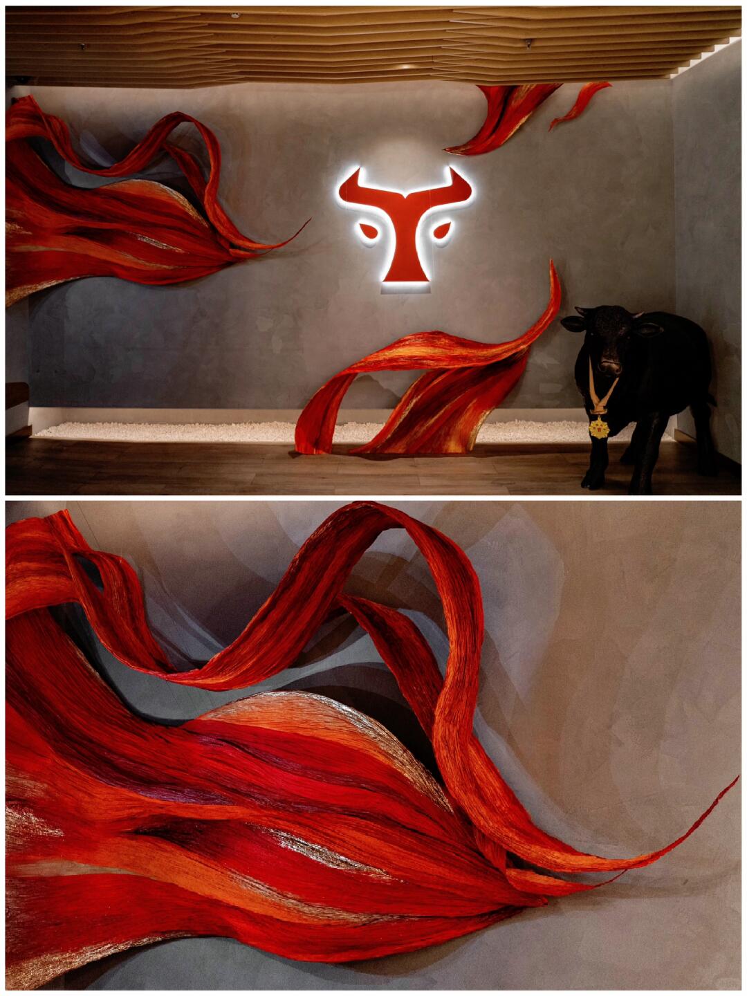 Blaze | Capturing the Dance of Flames | Installation Art