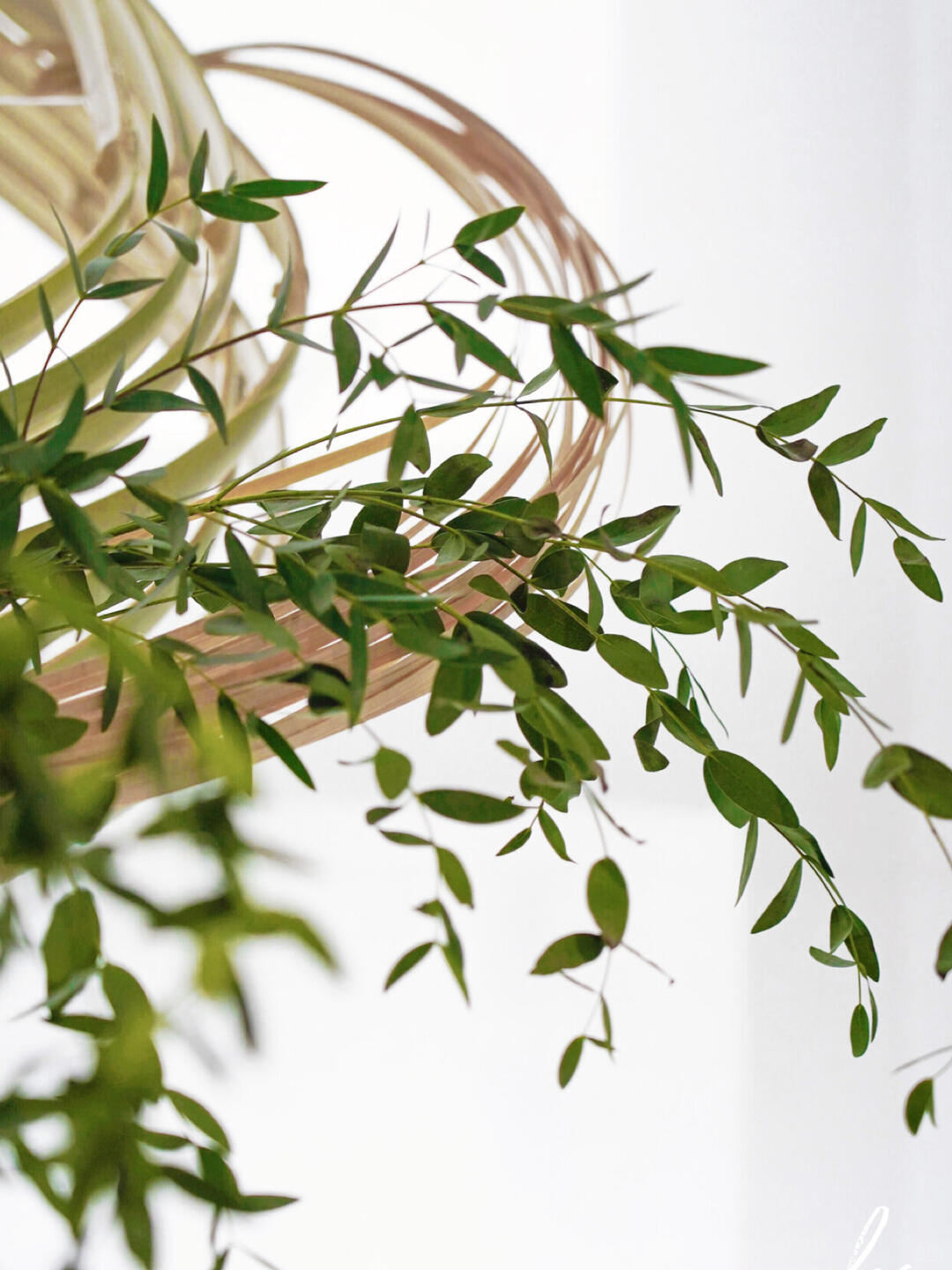 Chengdu Bamboo Installation Art | Hotel Installation| Installation art lostpeach
