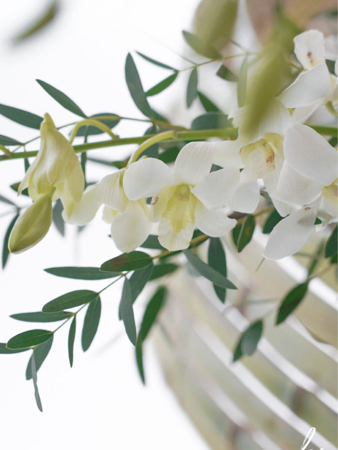 Chengdu Bamboo Installation Art | Hotel Installation| Installation art lostpeach