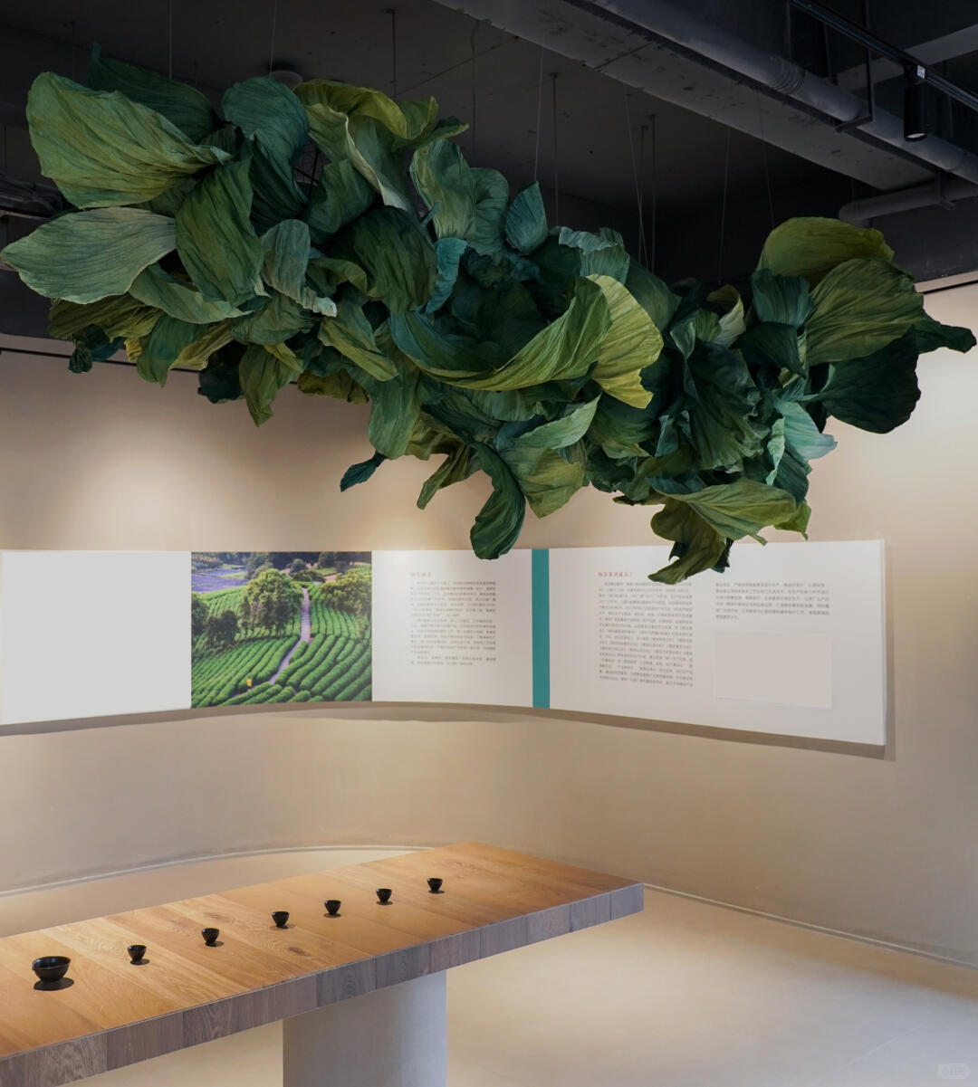 Emerald Sprouting | Tea-Themed Art Installation | Large-Scale Green Paper Ceiling Installation| Installation art lostpeach