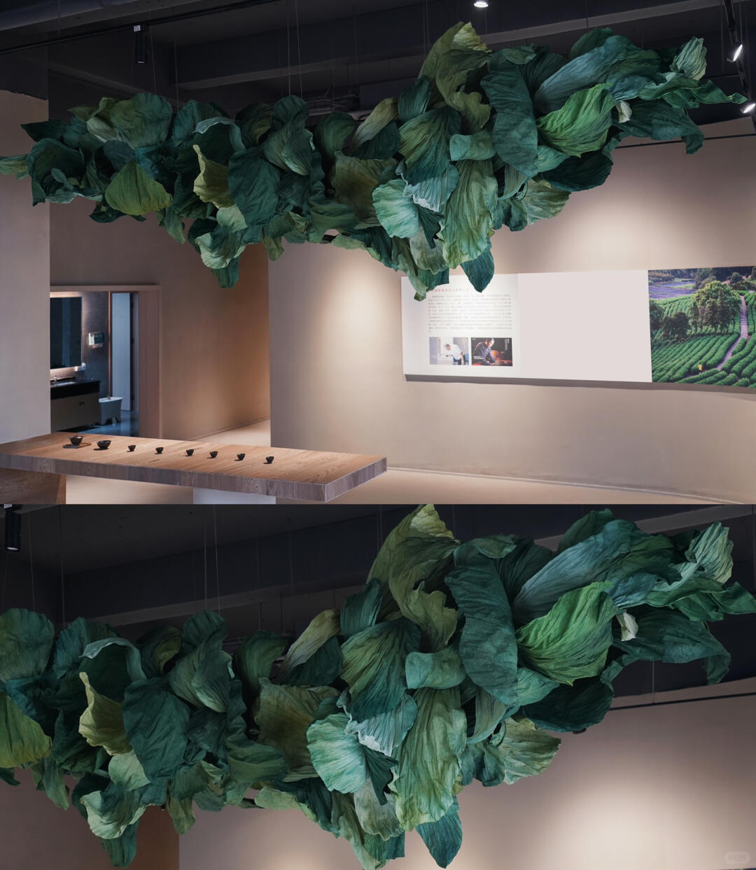 Emerald Sprouting | Tea-Themed Art Installation | Large-Scale Green Paper Ceiling Installation| Installation art lostpeach