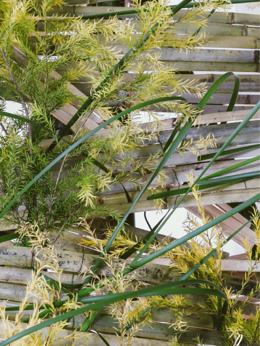 Bamboo Installation Art| Installation art lostpeach