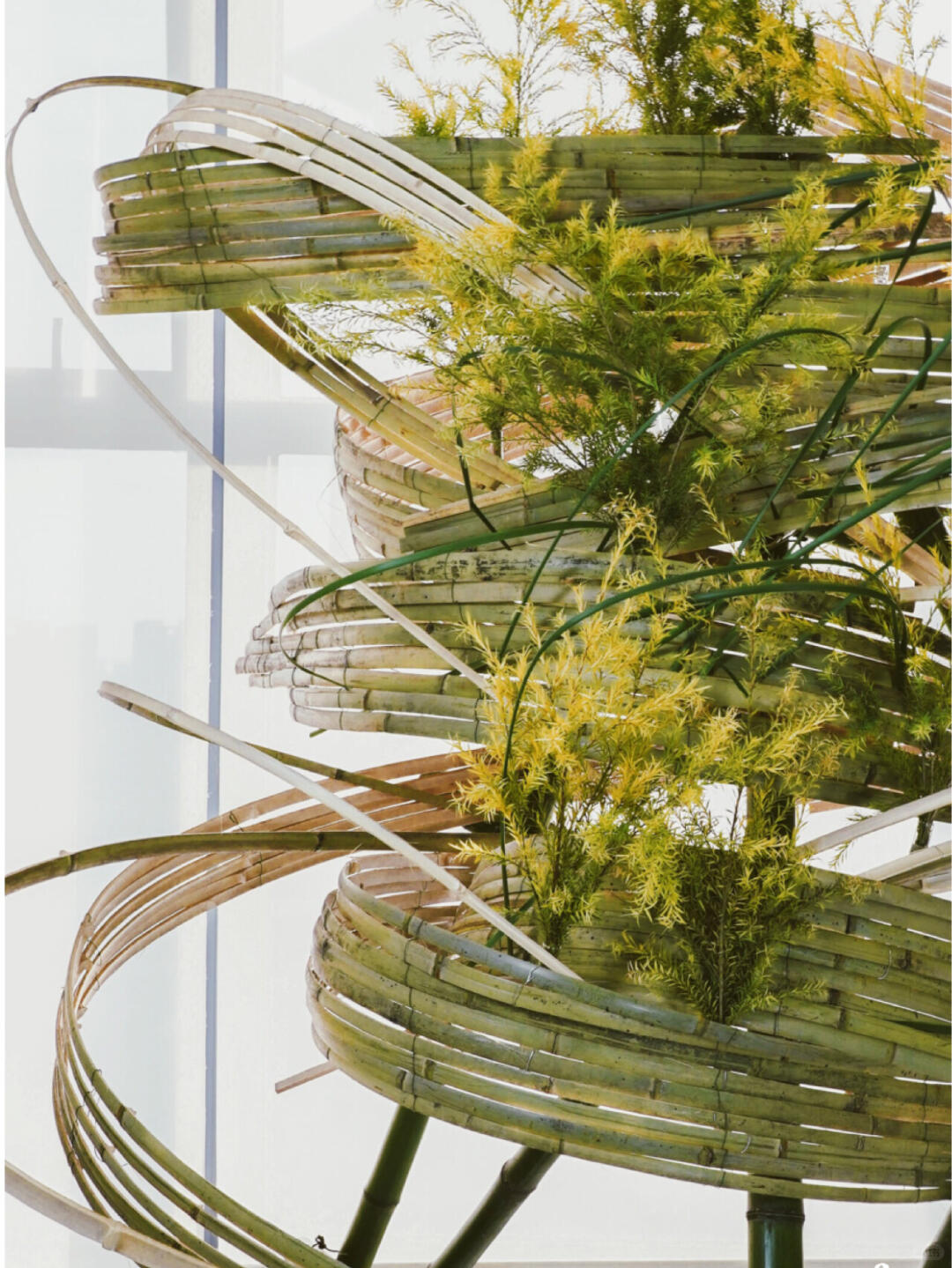 Bamboo Installation Art| Installation art lostpeach