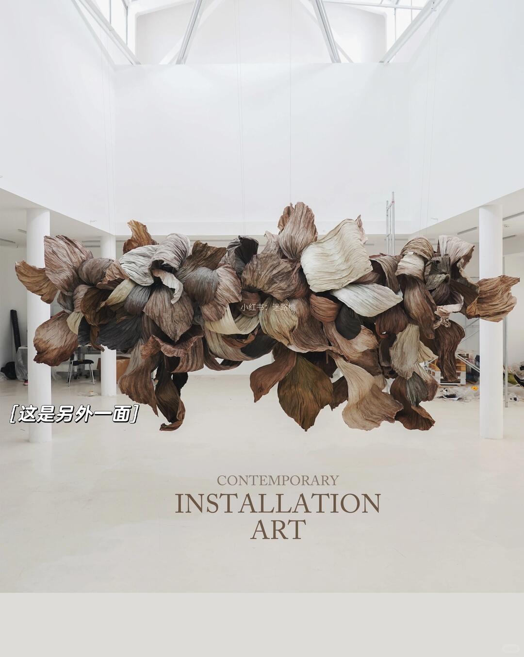 Dark Aesthetic Photo-Spot Art Installation—Simply Stunning to Photograph| Installation art lostpeach