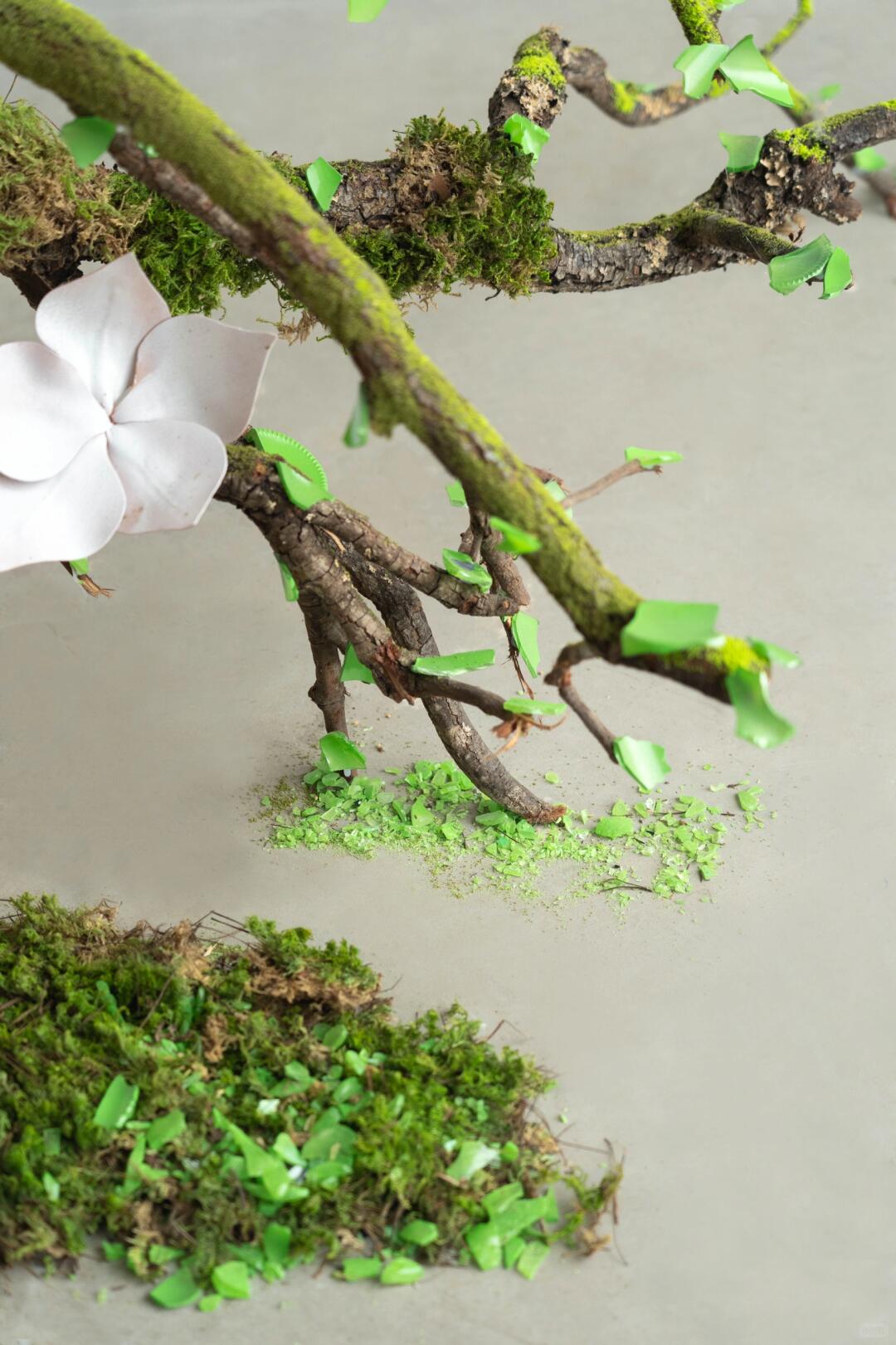 放大的酒瓶植物装置 | 装置艺术 - 图片4