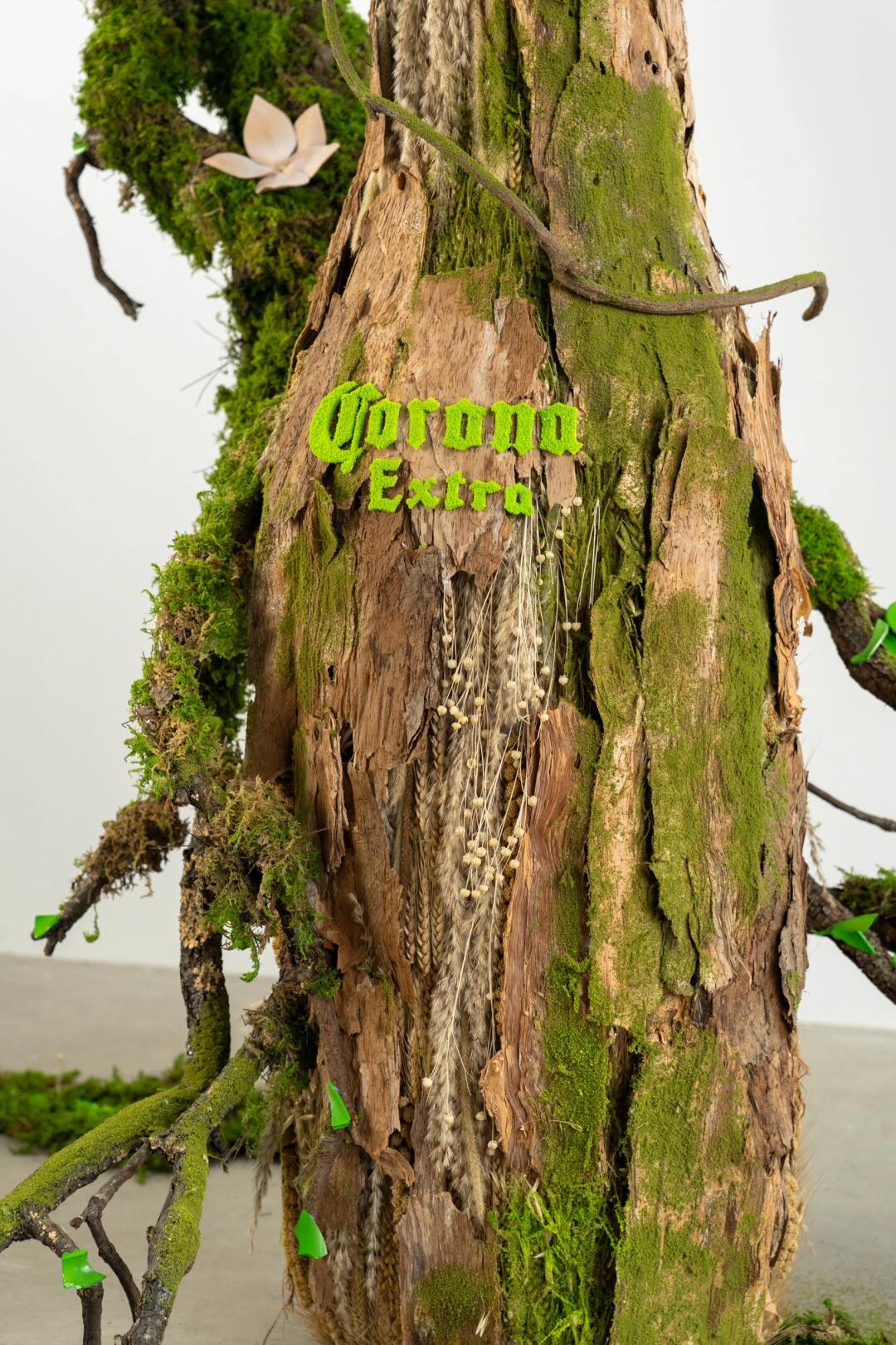 放大的酒瓶植物装置 | 装置艺术 - 图片6