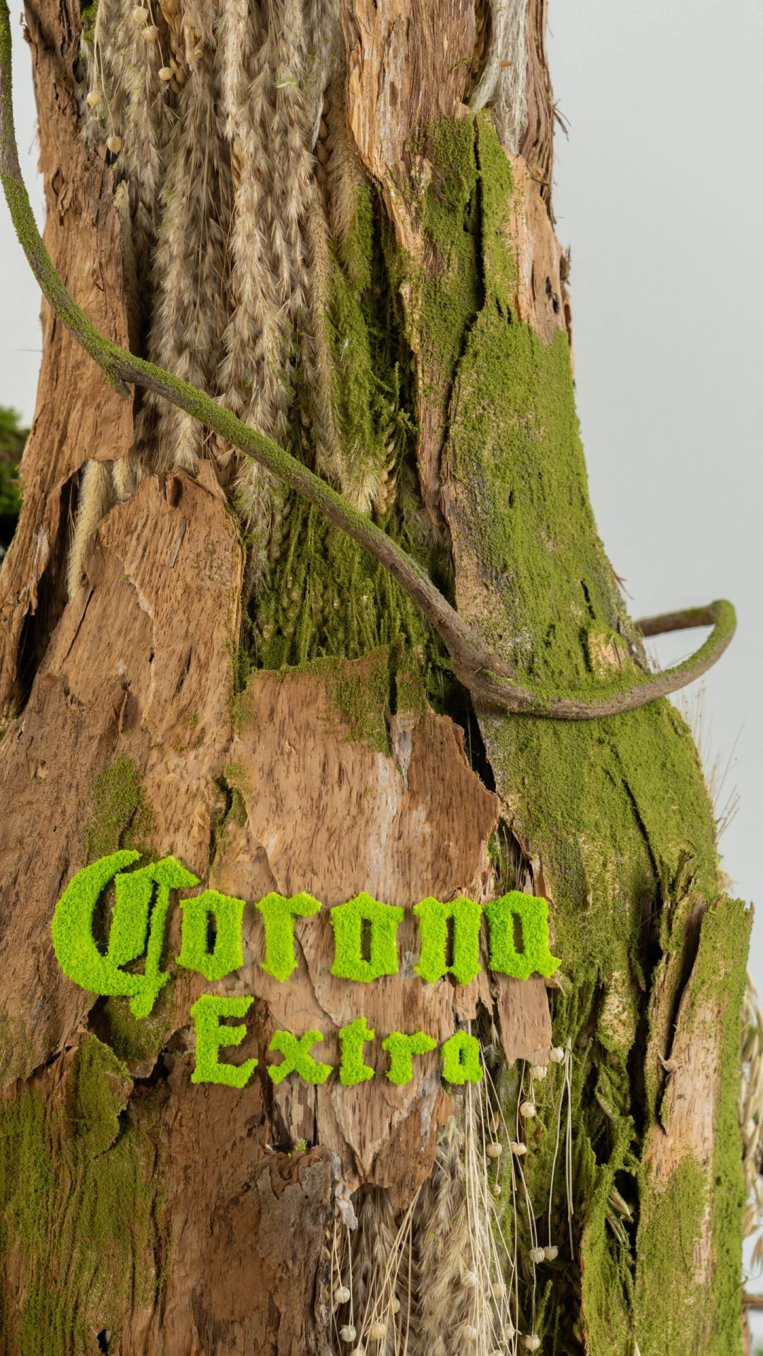 放大的酒瓶植物装置 | 装置艺术 - 图片7