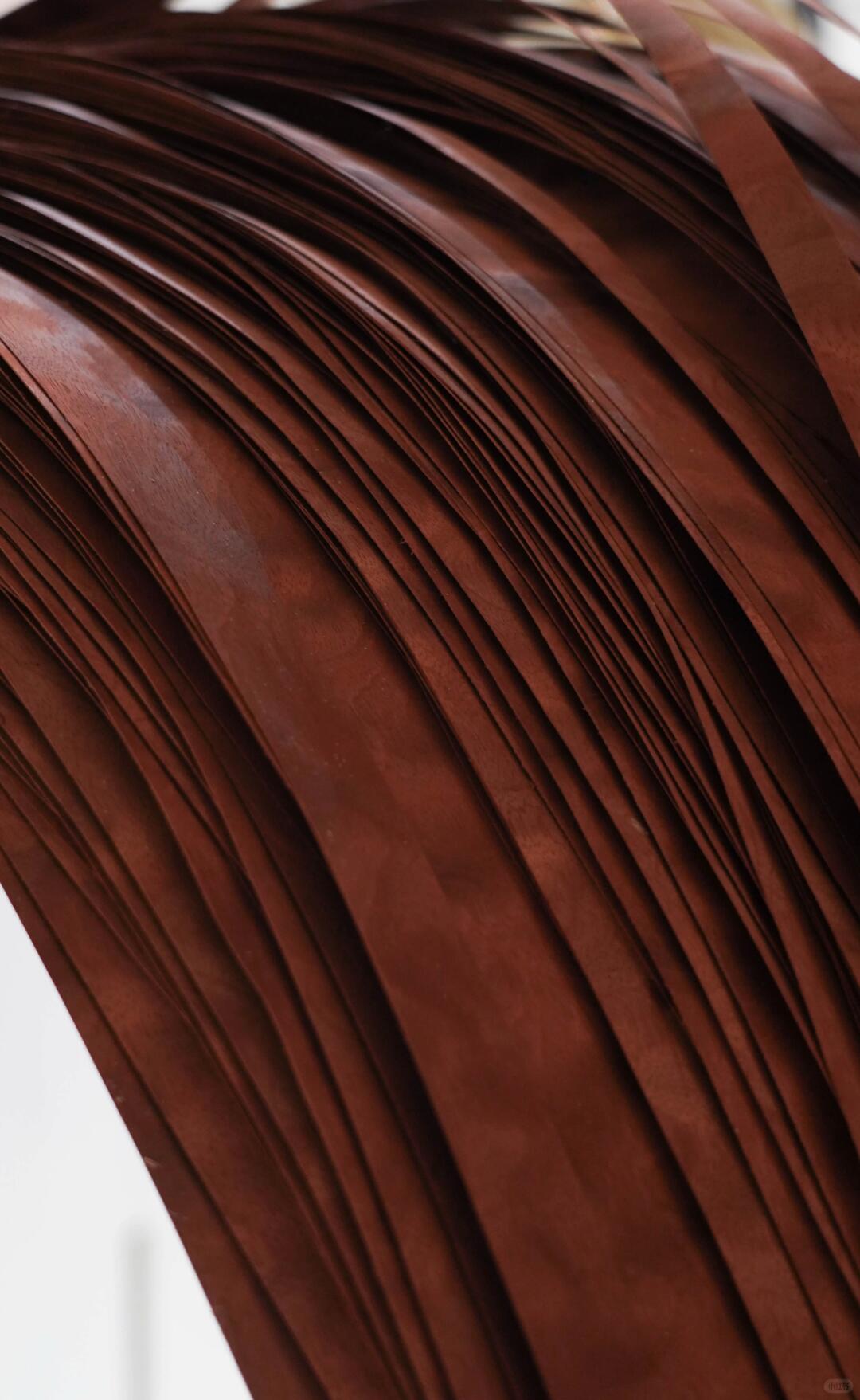 千缕红花梨,水袖渡惊鸿 | 展厅木皮艺术装置 - 图片16