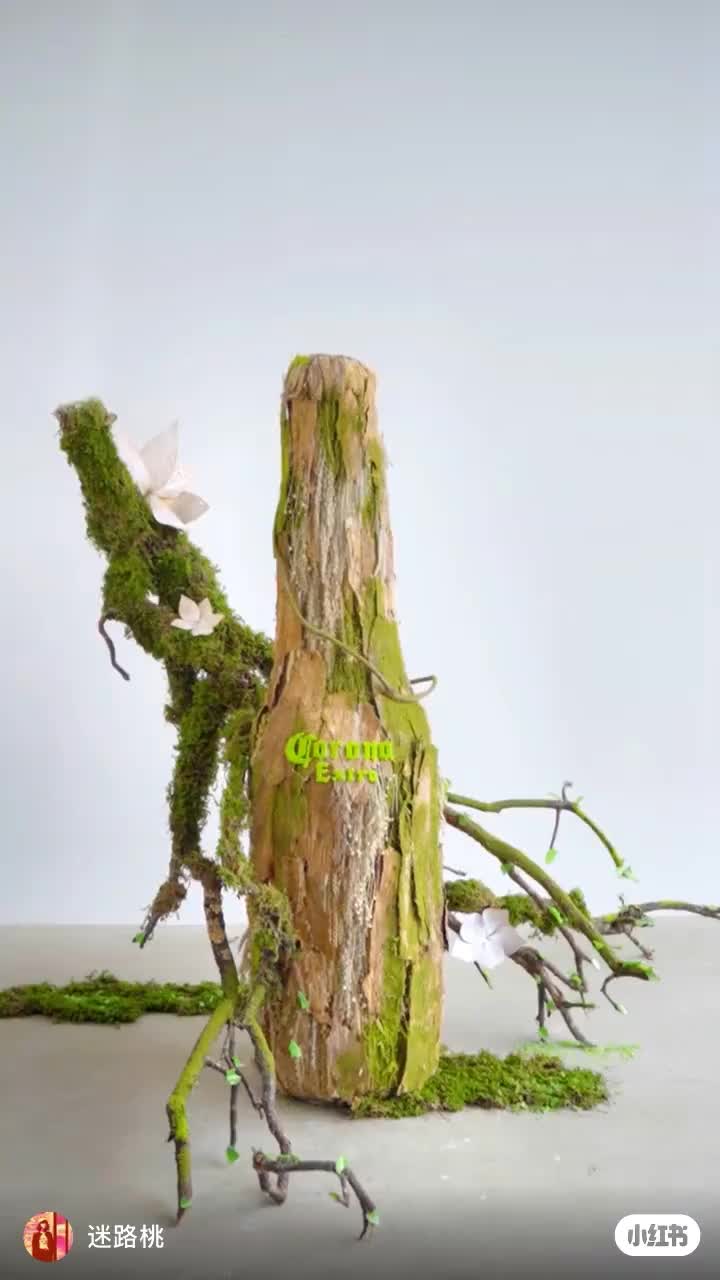 科罗娜之森 | 酒瓶创作的大自然装置艺术