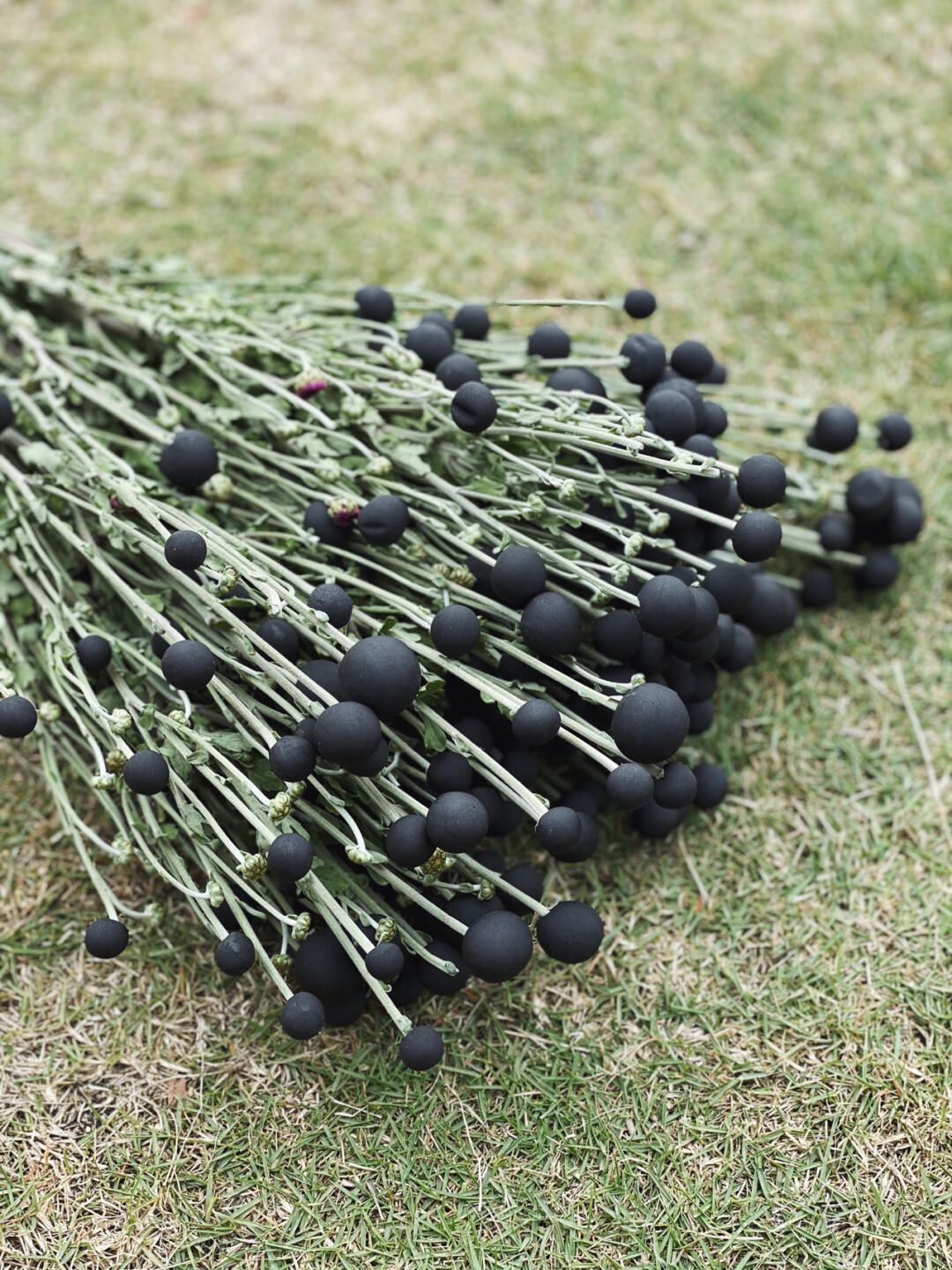 Floral Chengdu | Large-Scale Outdoor Floral Installation Art — Ultimate Photo Spot| Installation art lostpeach