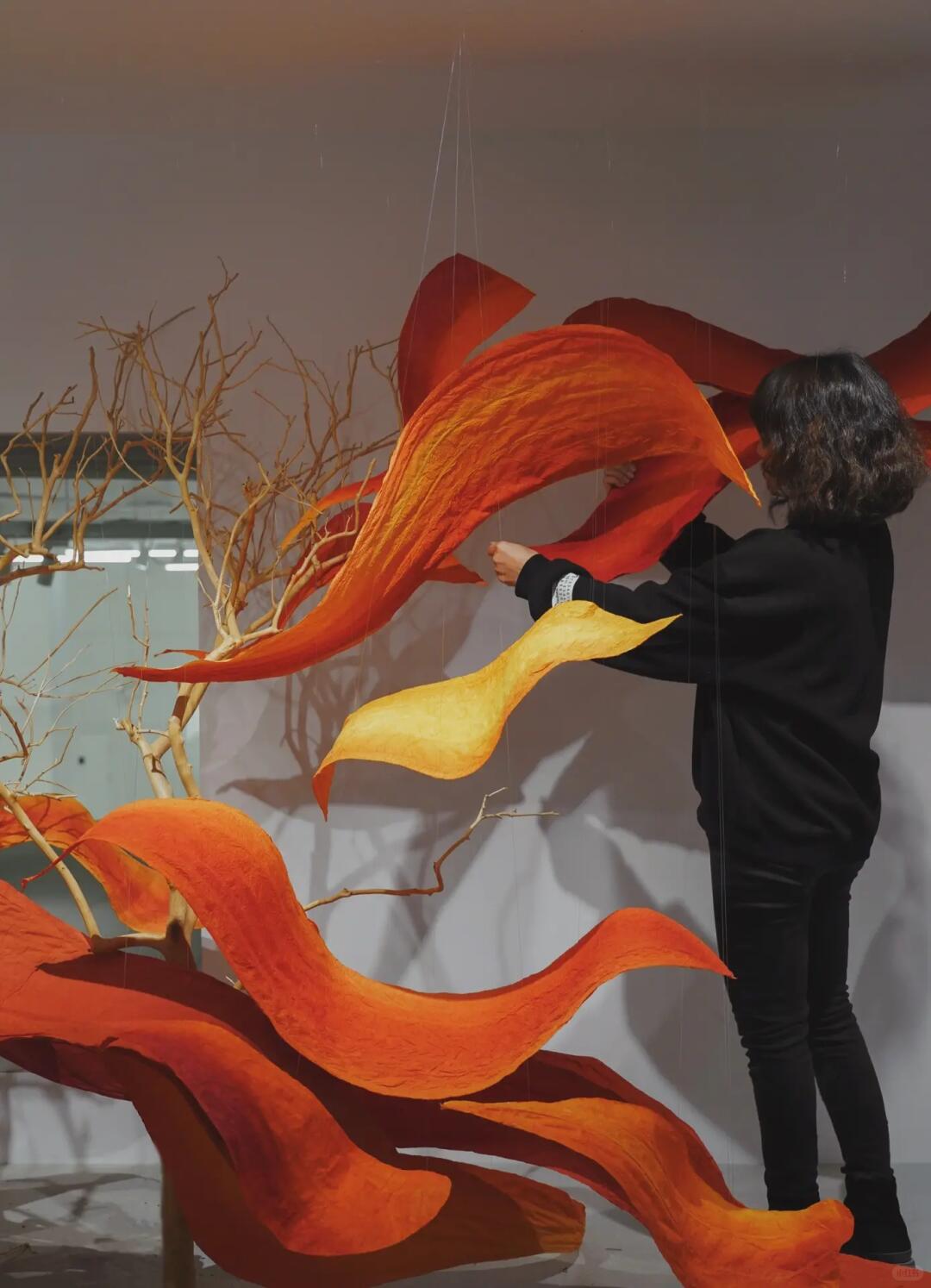 Phoenix in Flight | My Favorite Recent Showroom Window Installation| Installation art lostpeach