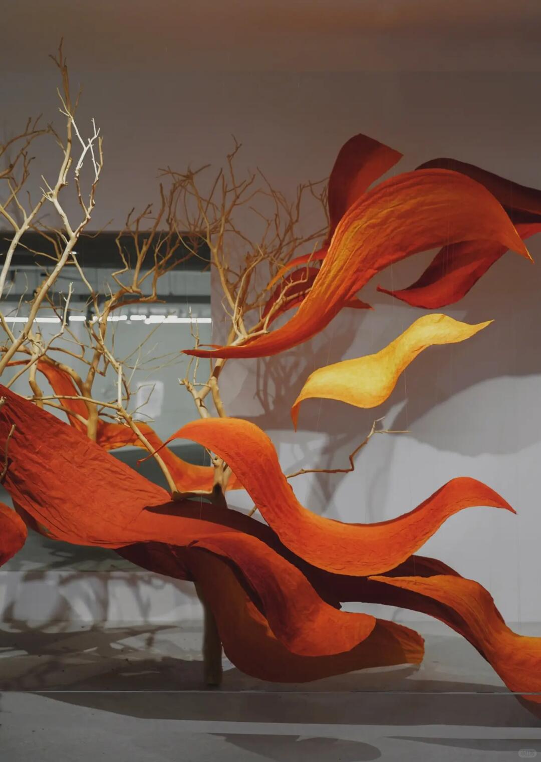 Phoenix in Flight | My Favorite Recent Showroom Window Installation| Installation art lostpeach