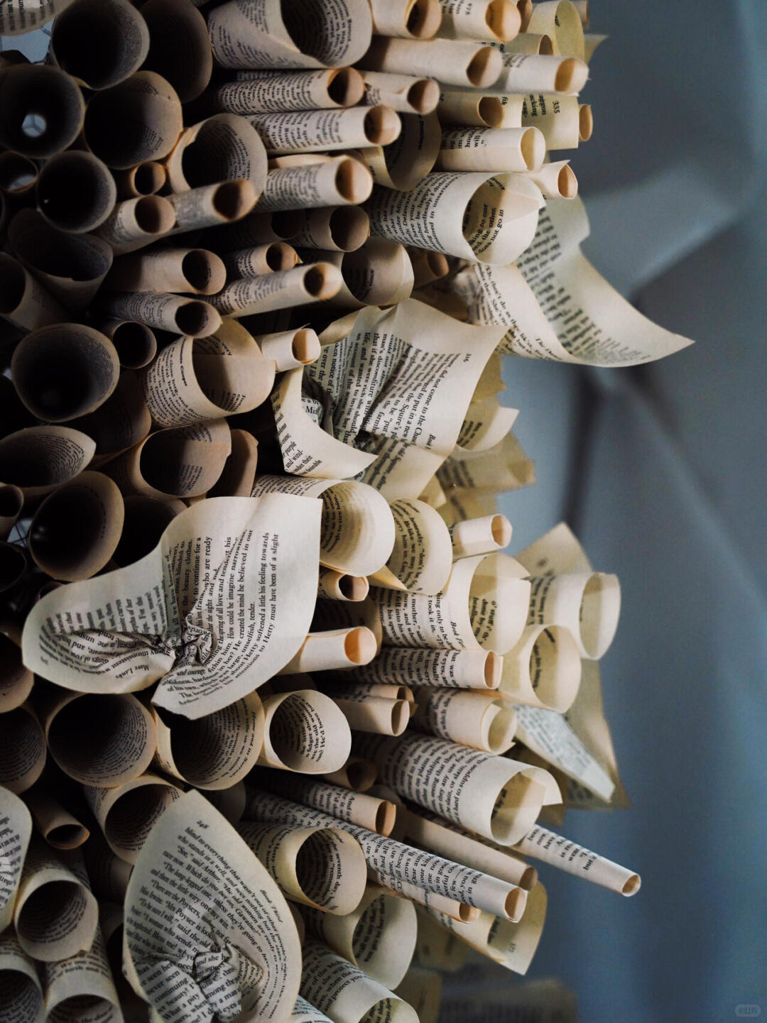 Bookstore Window Installation Art | The Sequence of the Honeycomb| Installation art lostpeach